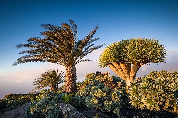 Canary Islands-El Hierro Island-Guarazoca-Mirador de la Pena